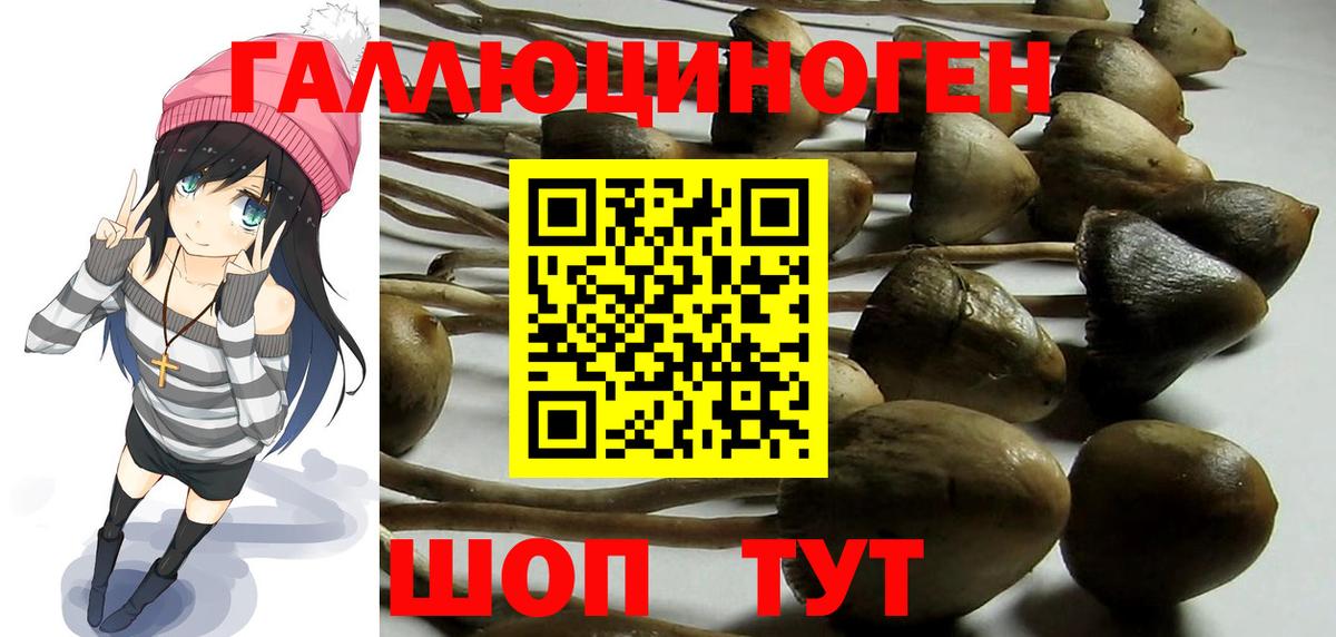 Псилоцибиновые грибы MAGIC MUSHROOMS Кинешма